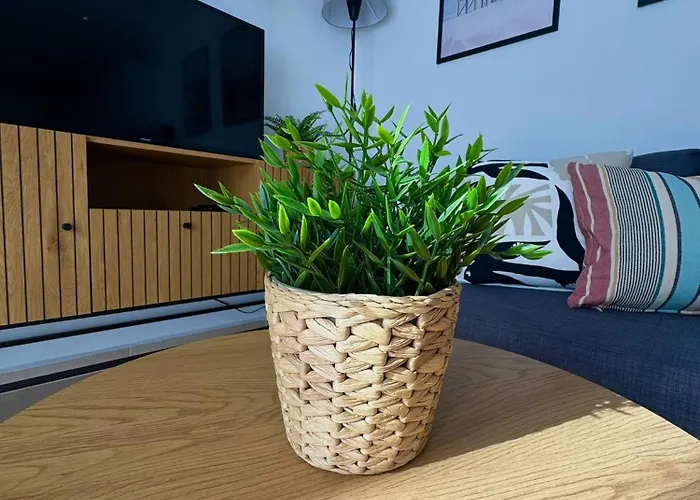 Bubo Sol 칼레타데푸스테