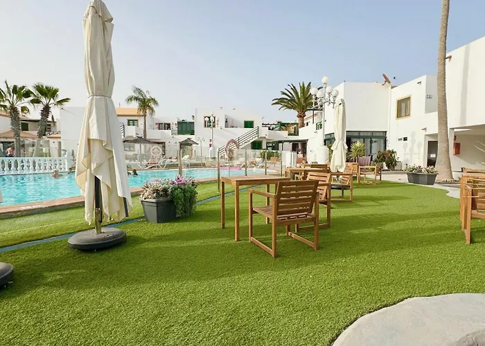 Bubo Sol 칼레타데푸스테